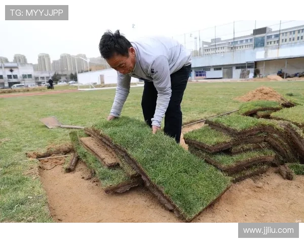 记者重返工体草坪时隔146天心潮澎湃视频记录激动瞬间