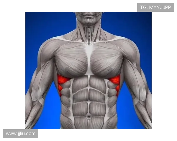 这一身肌肉如此听话究竟是天生还是背后藏有秘密开关