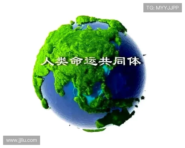 国际视野下的人类命运共同体与全球合作新机遇探索