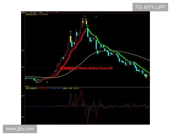 乐赢8号引领投资新趋势全面解析财富增值策略