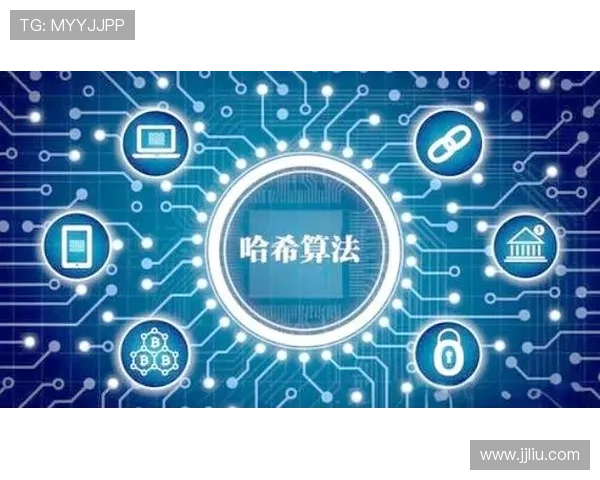 V2哈希算法优化及应用探索与性能提升研究