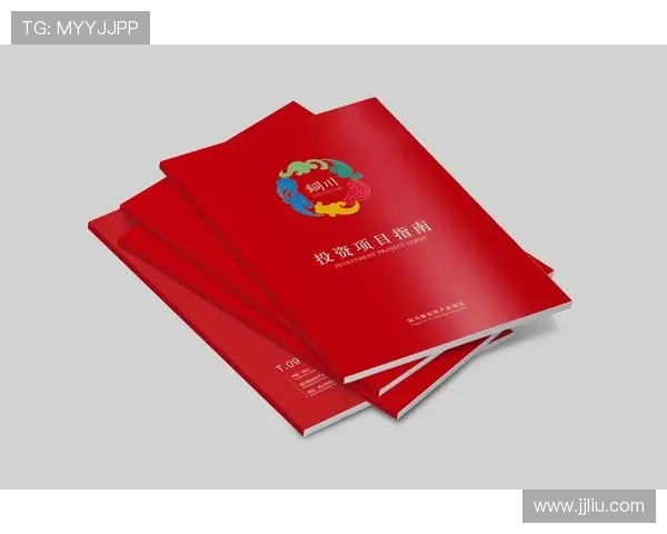 南宫28区域最新发展规划与未来潜力全面解析与投资参考指南